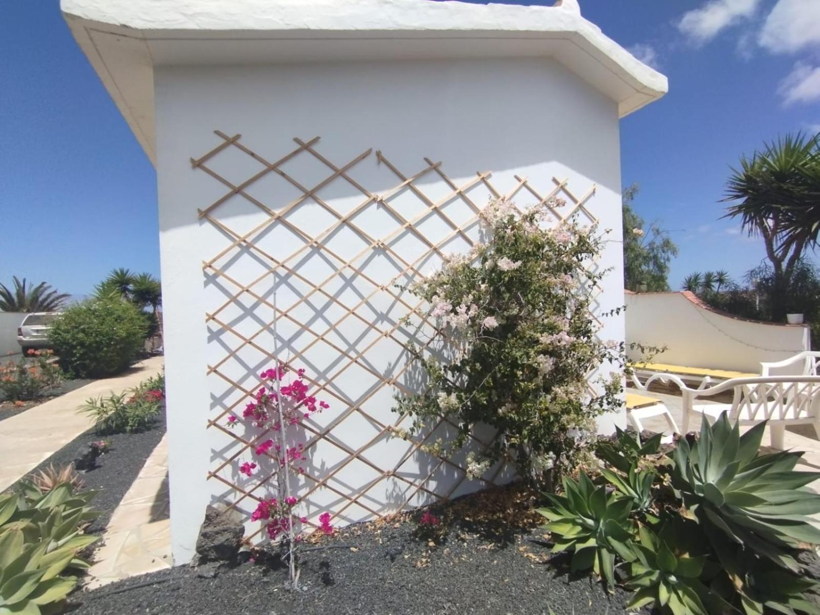 Casa Ina In El Roque, El Cotillo Eksteriør bilde